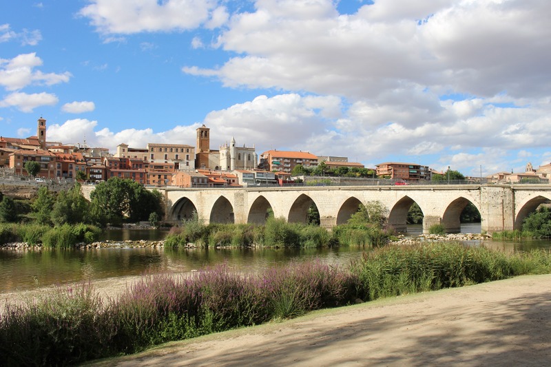 Panorámica de Tordesillas desde su puente romano