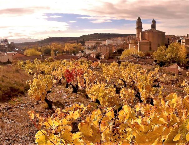 Elciego in Autumn, Rioja Alavesa