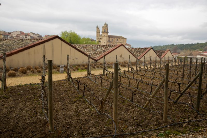 bodega e iglesia en Rioja