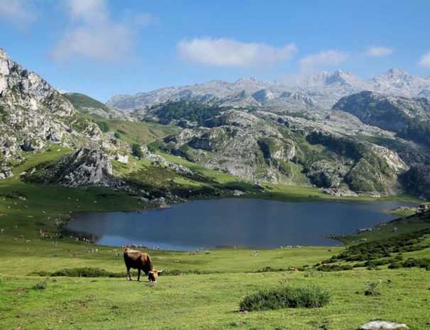 Paisaje de Lagos de Covadonga en Asturias