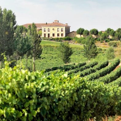 Wine estate in Ribera del Duero