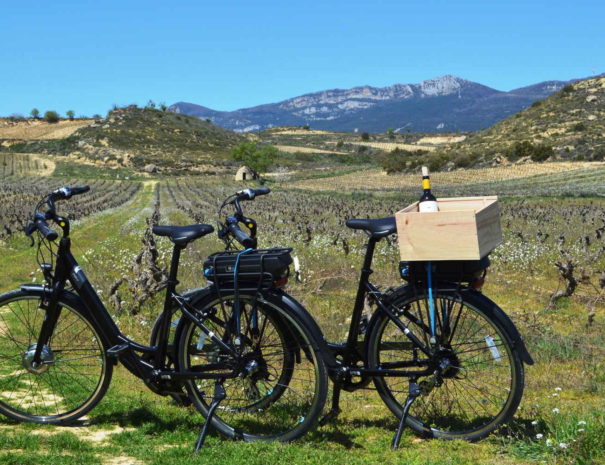Bicicleta en viñedos de Rioja