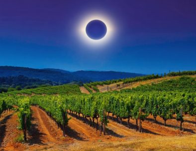 Eclispe total y viñedos
